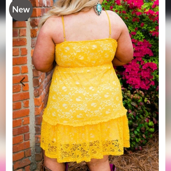 NWOT Southern Fried Chics Flirty Little Thing Lace Dress 3x - Picture 2 of 7